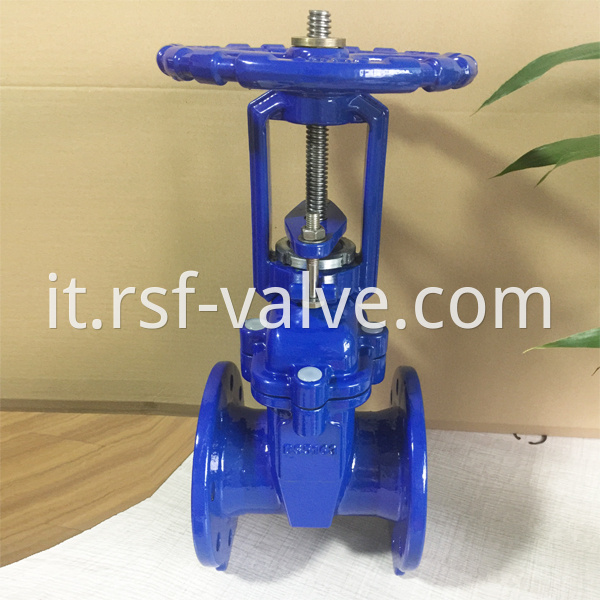 Rising Stem Resilient Seat Gate Valve